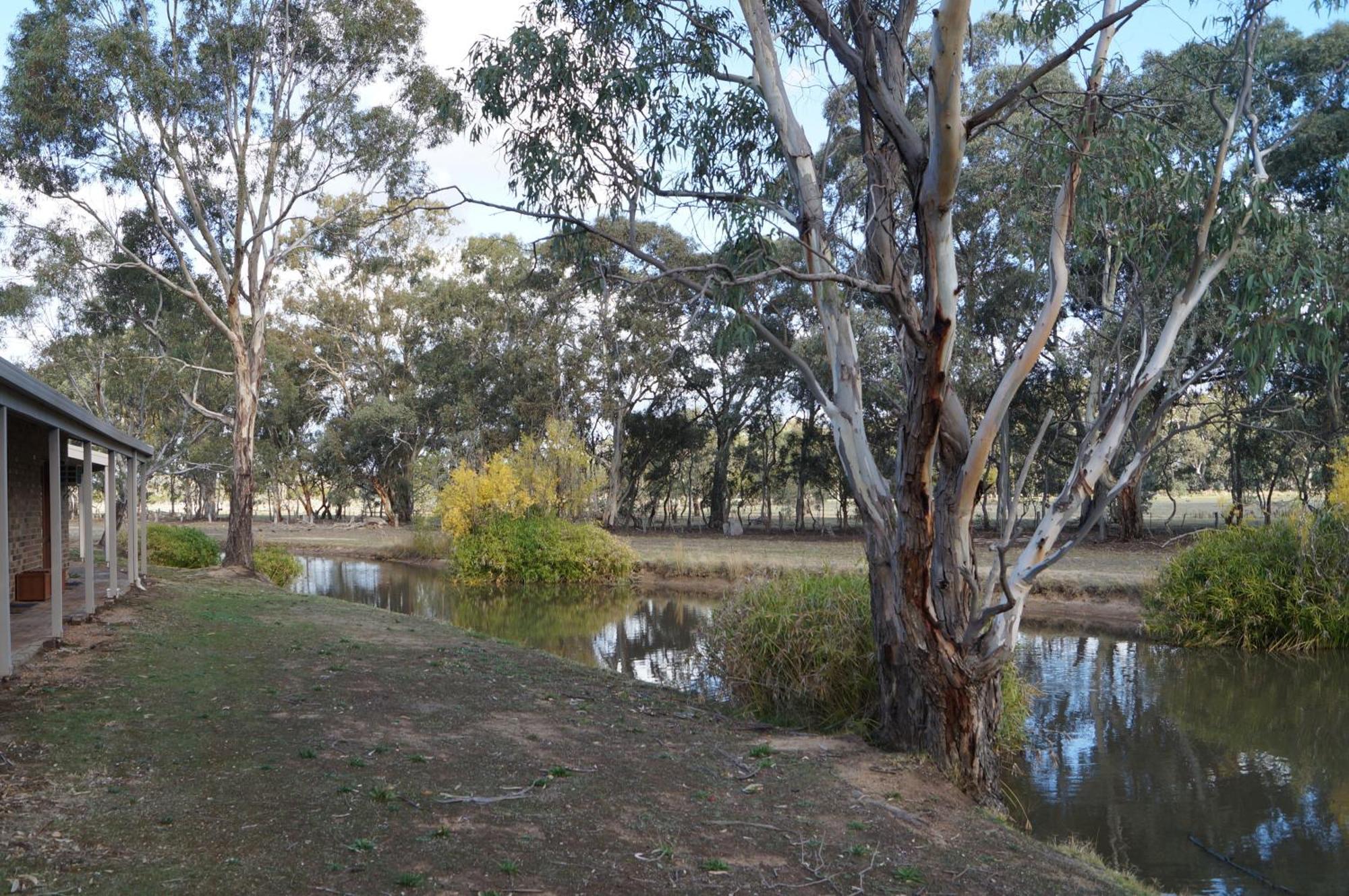 Magdala Motor Lodge&Lakeside Restaurant Stawell Kamer foto
