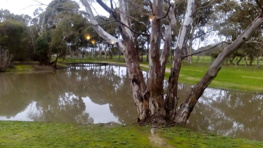 Magdala Motor Lodge&Lakeside Restaurant Stawell Buitenkant foto